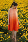 Ombré Panelled Dress
