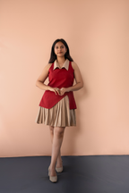 Collared Pleated Skirt Dress