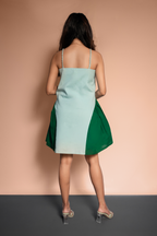 Flared Dual Color Dress